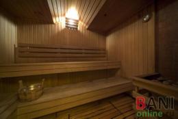 Революция, баня